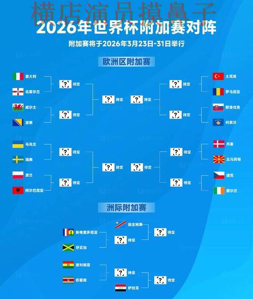 新手必看：世界杯投注入口真实体验详解 + World Cup 2026
