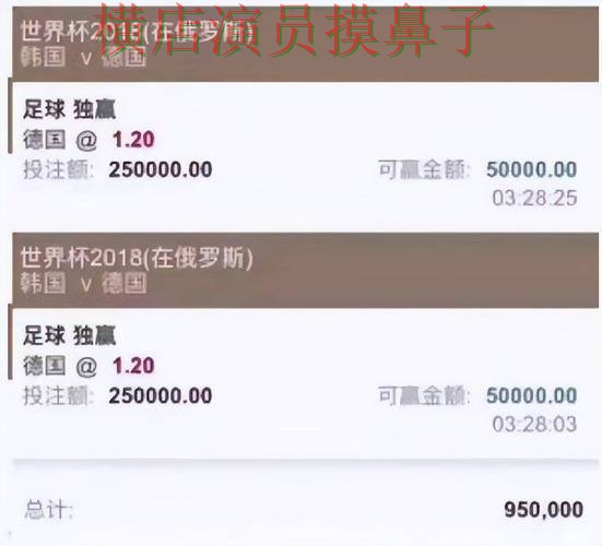 世界杯直播期间热门世界杯投注平台整理与直播入口分析