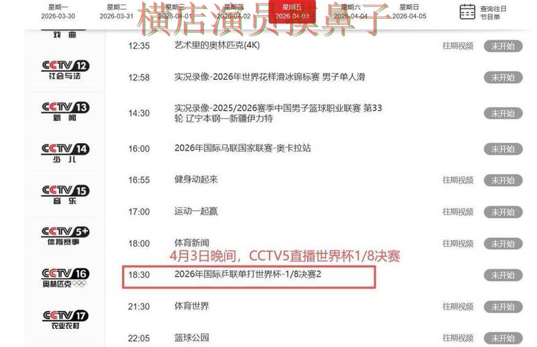 世界杯直播期间热门世界杯投注平台整理与直播入口分析