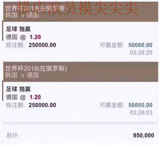 世界杯投注平台合集盘点分析报告：数据分析与实际体验总结 - 世界杯全球总决赛